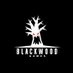 Blackwood_Games (@blackwoodgames) Twitter profile photo Blackwood_Games (@blackwoodgames) Twitter profile photo