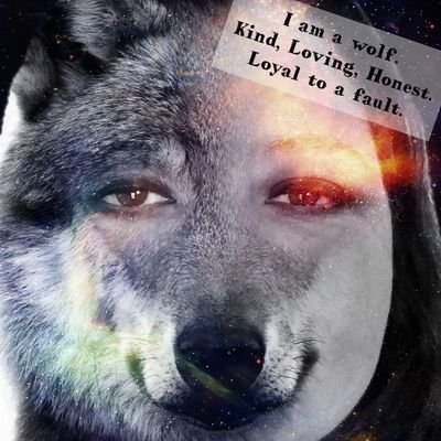 Saphyre Wolfeさんのプロフィール画像