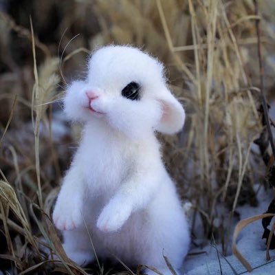 TASAM97142330's profile picture. คิด