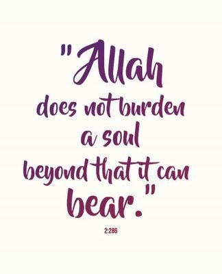 holt_world's profile picture. Religious||Caring||Easy going🚶|| ,😂pto hunter🥷||Guardian @AllstarsNG