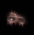 AnatoliyKapri's profile picture. Хороший. Плохой. Злой.