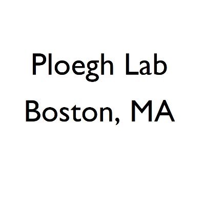 Student/postdoc run twitter for lab of Hidde Ploegh
