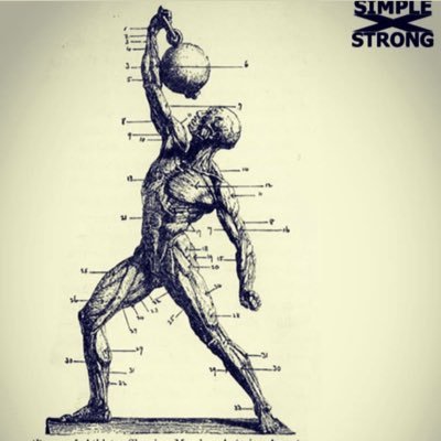 Sport Rehab natural Fitness and Physiotherapist Certified Functional Movement Systems. Have control, be efficient, durable and resilient to enjoy a healthy life