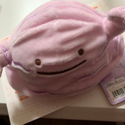 2019/3/24〜ポケカはじめた ポケカとゲームと下世話なことつぶやきます 2020 CL66位 シティbest8x2