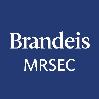 A National Science Foundation sponsored Material Research Science and Engineering Center at Brandeis University