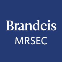 BrandeisMRSEC (@brandeismrsec) 's Twitter Profile
