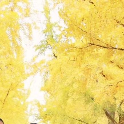 Professor (Assistant) | Ph.D. | Remote Sensing & Geoscience & Forestry . 🌳🌲🌏🛰️🔥
#LiDAR #Forest #DeepLearning #FIS #ForestIntelligentSensing
