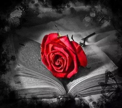 Moccha18762143's profile picture. #Zemmour2022 Depuis peu à la retraite, je m'aventure dans la création d'un blog et la découverte des réseaux sociaux. Deux passions la lecture et le chocolat.