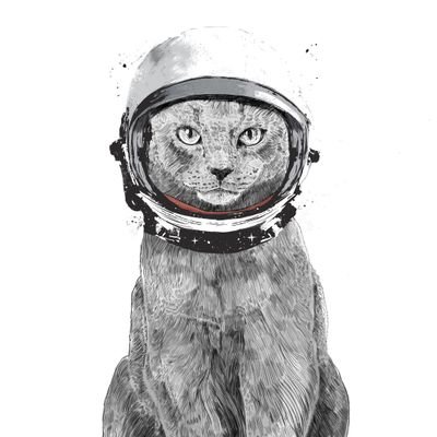 O2aWTSrPWZTHu2L's profile picture. 。