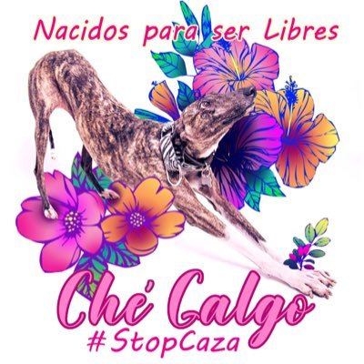 Agrupación antiespecista que lucha para abolir la caza. #stopcaza