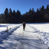 Frau Pritz (@fraupritz) 's Twitter Profile Photo