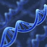 COPDGene (@copdgene) 's Twitter Profile
