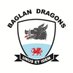 Baglan Dragons (@BaglanDragons) Twitter profile photo