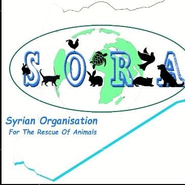 SORA is an Non-Profit Organisation made up of a team of rescuers/animal carers, a veterinarian, a coordinator and manager, and admins. We all love animals.🐈🐕