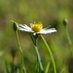 Photography Art by Jennifer Wallace (@jennsphotograph) Twitter profile photo Photography Art by Jennifer Wallace (@jennsphotograph) Twitter profile photo