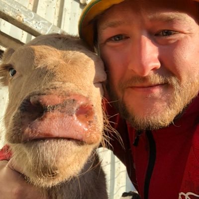 ScrannyH's profile picture. 