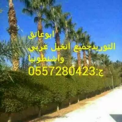 ‏‏‏‏‏اصالح ناجي الغانمي 
///لتوريد وتركيب نخيل عربي واشنطني أمريكي وتنسيق الحدايق وزراعة ثيل وجميع الزهور لجميع مناطق المملكة
ج0557280423
0500371778
0539114985