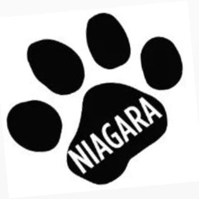 Official Twitter account for Pets Alive Niagara. Registered charity rescue run by devoted animal lover volunteers.