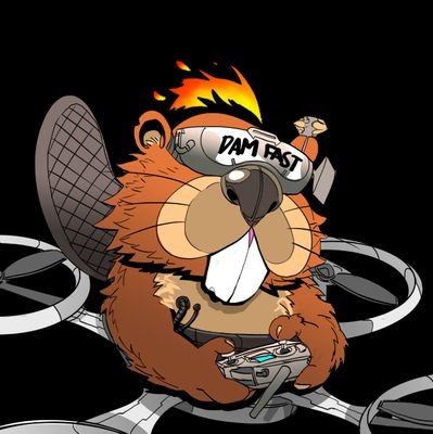 DamFpv's profile picture. Dam Fast drones for life