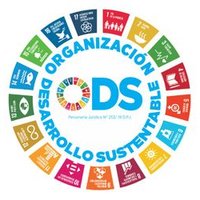 ODSArgentina (@argentinaods) 's Twitter Profile