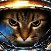 reptilezero (@reptilezero_) 's Twitter Profile Photo