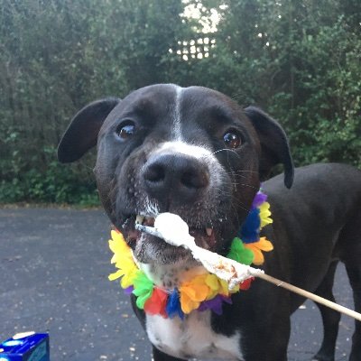 amy_c_durham's profile picture. 