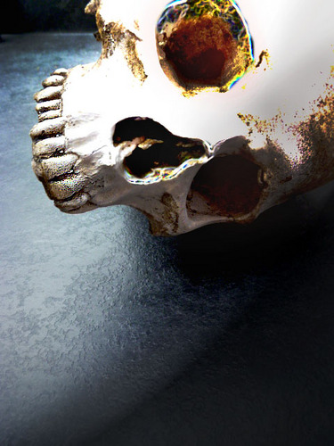 Hanz_Bond0021's profile picture. ambitious individual, driven and passionate.