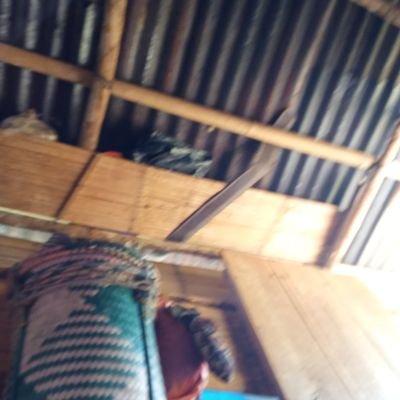 LysqaA's profile picture. life was beautiful