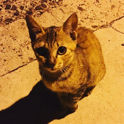 wuouxiangさんのプロフィール画像