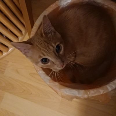 camonsan's profile picture. Venta de productos de Rehabilitación, Ortopedia y Curación