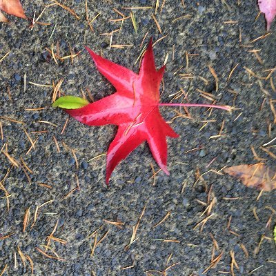 savoring_each's profile picture. 