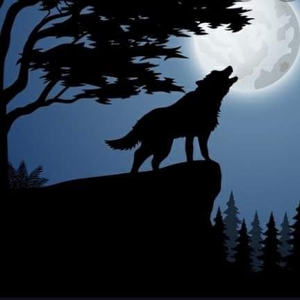 I love the night the wolfs that howl in the night the blue lovely sky and the moon that shines ❤💓