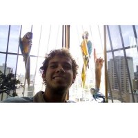 jose m castro (@josemendoza93) 's Twitter Profile