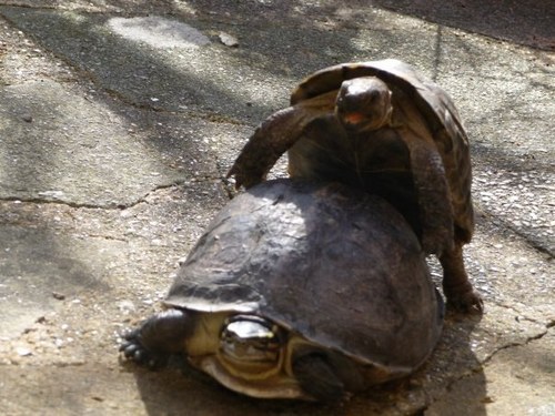 VRT_Matt's profile picture. 