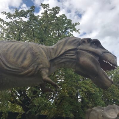 helenacubicula's profile picture. Likes reading books and learning stuff. Teaches kids English and Socials. Green. Classicist. She/her.