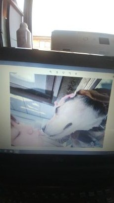 tnyanlove11's profile picture. 犬、紫、高橋優、筋肉好きー