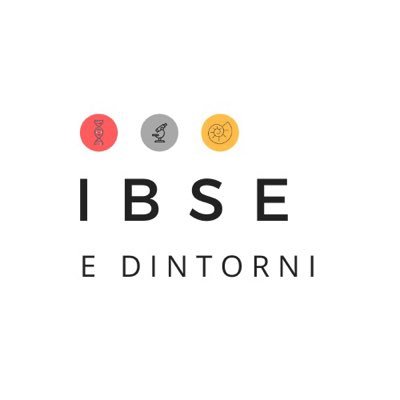 IBSE E DINTORNIさんのプロフィール画像