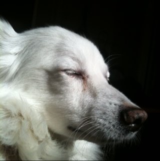 JimBuckey's profile picture. from jacksonville, to boston, to los angeles.