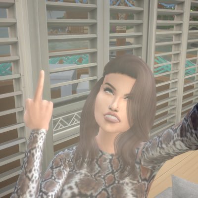 just your average sim addict🤟🏼 play sims 2/3/4 on 2016 mbp running Catalina