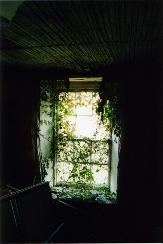 shanemagee's profile picture. tall and not-as-skinny-as-i'd-like-to-be all-irish, mostly-male trying to make a way through and help others do the same.