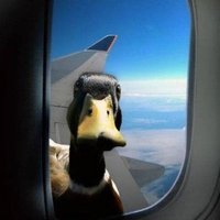 ThugMCDuck (@thugmcduck1) 's Twitter Profile Photo