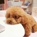 Tobinpress (@tobinpress1) Twitter profile photo Tobinpress (@tobinpress1) Twitter profile photo