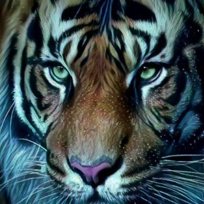 belumsiapmati_'s profile picture. 