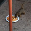 Travis Engle - @TravisEngle - Twitter