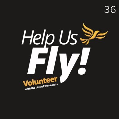 Come Help us Fly! Join us in the Liberal Democrat Volunteer Hub throughout the General Election to help put the Liberal Democrats in Government!