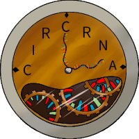 Kadener Lab (@kadenerlab) 's Twitter Profile