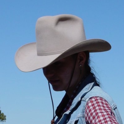 FrauMcDonald's profile picture. Lehrerin E / Geo / DaZ | digitale Medien