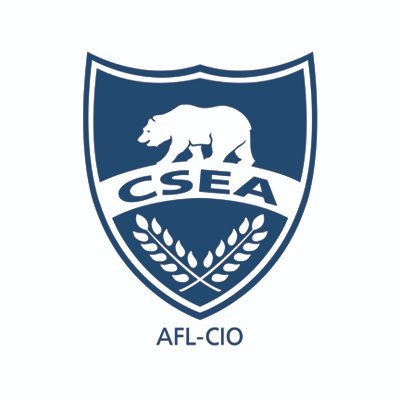 CSEA Profile