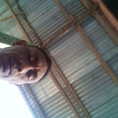 Pipit67979278's profile picture. Im free