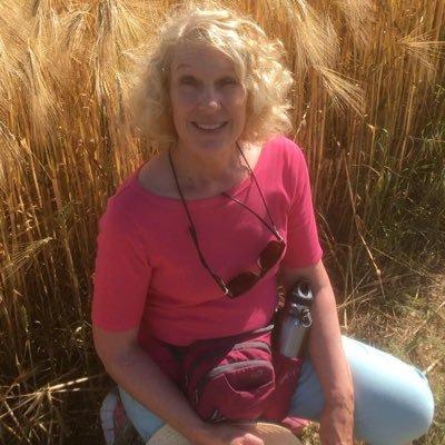 kim02303021's profile picture. History Rugby League Cricket General News